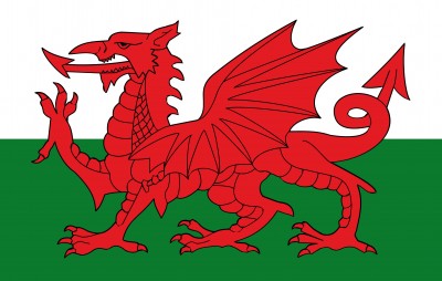 Welsh Language Social Media consultation